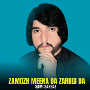 Zamozh Meena Da Zarhgi Da