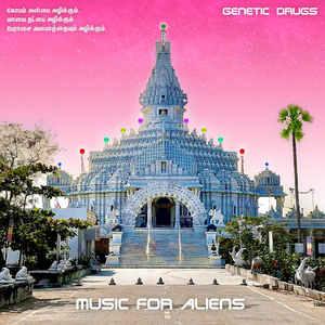 Raga for Aliens (Transglobal Underground's Indian Moonshot)