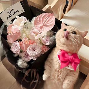 你(风轻轻我听见你声音)