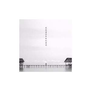 我披着你年轻的时候（无采样版）