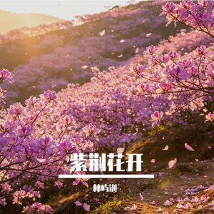 一辈子忙着赶路(DJ版)