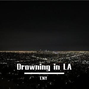 Drowning in LA