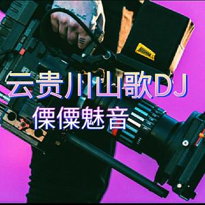 云南山歌洗脑神曲（傈僳魅音 remix）