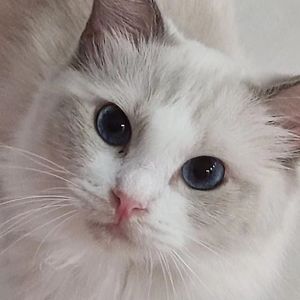 刚刚错过的大雨