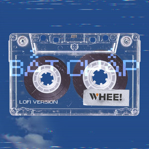 Bất Chấp (Lofi Version)