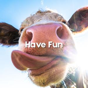 Have Fun