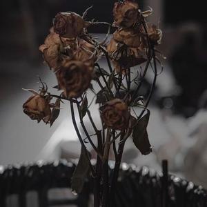 没你的世界 prod By Yn1Jasper