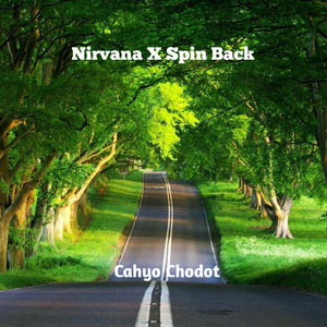 Nirvana X Spin Back