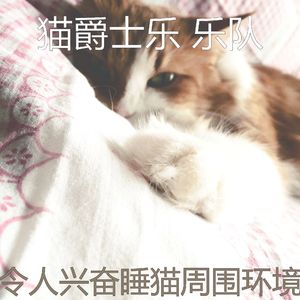 抚慰的猫回忆