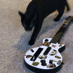 过活伴奏（抖音热版）