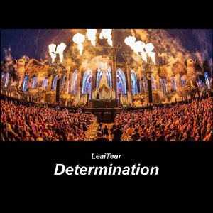 Determination