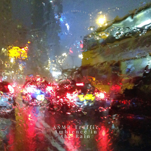 City Traffic Lights in the Rain