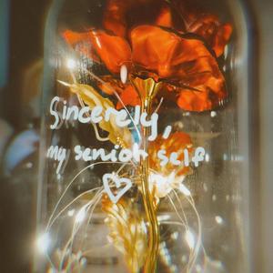 sincerely, my senior self.