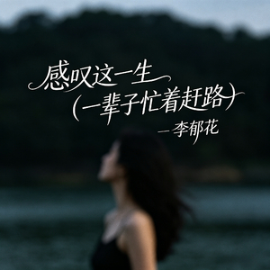 感叹这一生（一辈子忙着赶路）