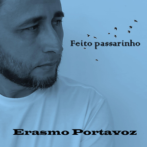 Feito Passarinho