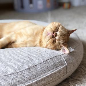 温柔序章 (催眠曲5分钟入睡)