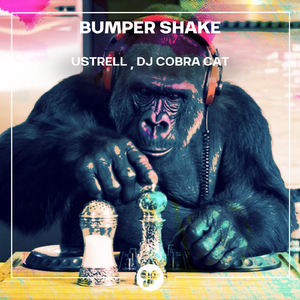 Bumper Shake (Radio Edit)