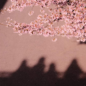 一壶莲花醉-翻唱版（翻自胡夏）