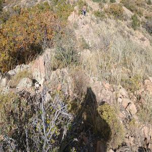 Running with my boys