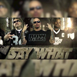 Say What (feat. Roscoe & Danny Boy)