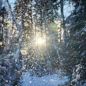 渐冷（温柔男版）