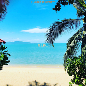 适合办公室工作老的音乐