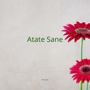 Atate Sane