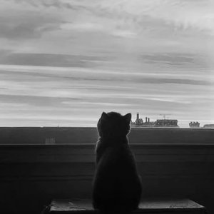 幸福要像暴雨一样浸湿我的衣襟