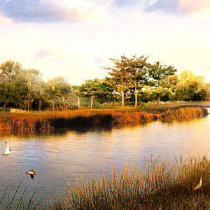 世上只有父母亲