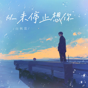 从未停止想你