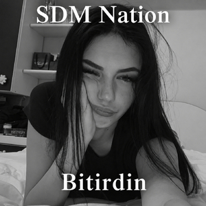 Bitirdin