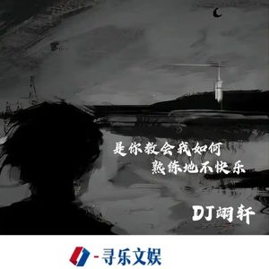 是你教会我如何熟练地不快乐