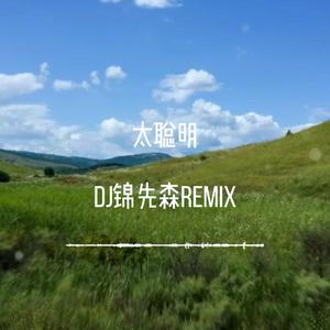 太聪明（DJ锦先森 Remix）