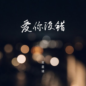 爱你没错 (伴奏)