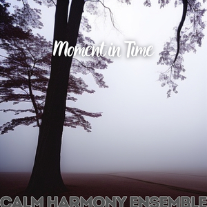 Moment in Time (Ocean)