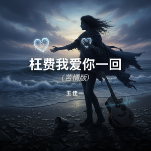 枉费我爱你一回