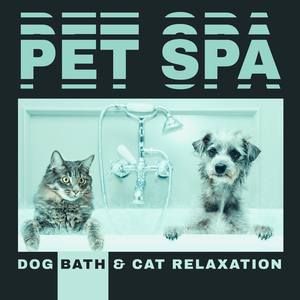 Dog & Cat