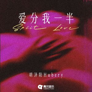 爱分我一半