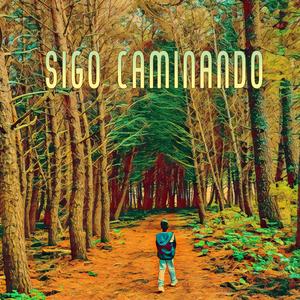 Sigo caminando (feat. LionRiddims)