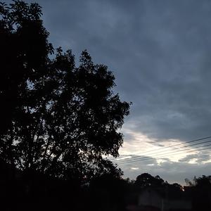 TIAN上星(prod by 药童)