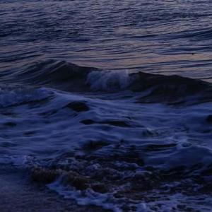 无所求必满载而归