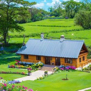 多情的我遇上绝情的你（翻自 小月）