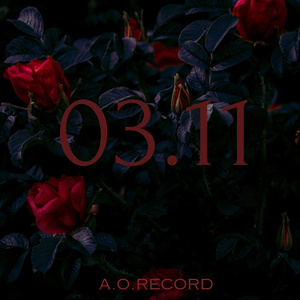 03.11