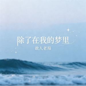 除了在我的梦里