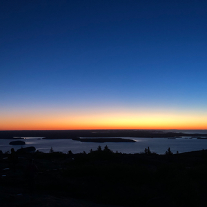 Morning Glory 晨曦