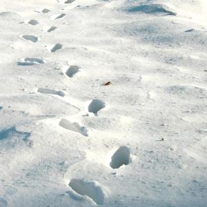 22.2.16一路上(伴奏)