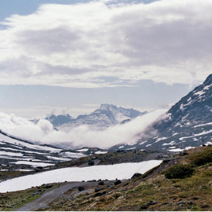 you feel like summer