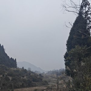 游戏高光与肾上腺素