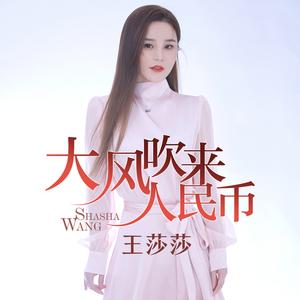 大风吹来人民币 (Dj何鹏版)