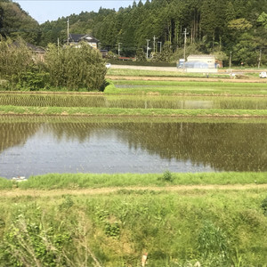 Stay Cool -結詞 (むすびことば) -